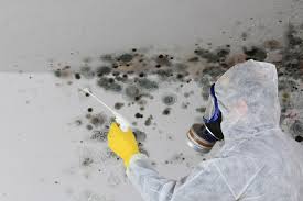 Best Residential Mold Inspection & Testing  in Chimayo, NM